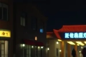 《铁皮屋顶上的猫》封面：雨后铁皮屋顶与流浪猫